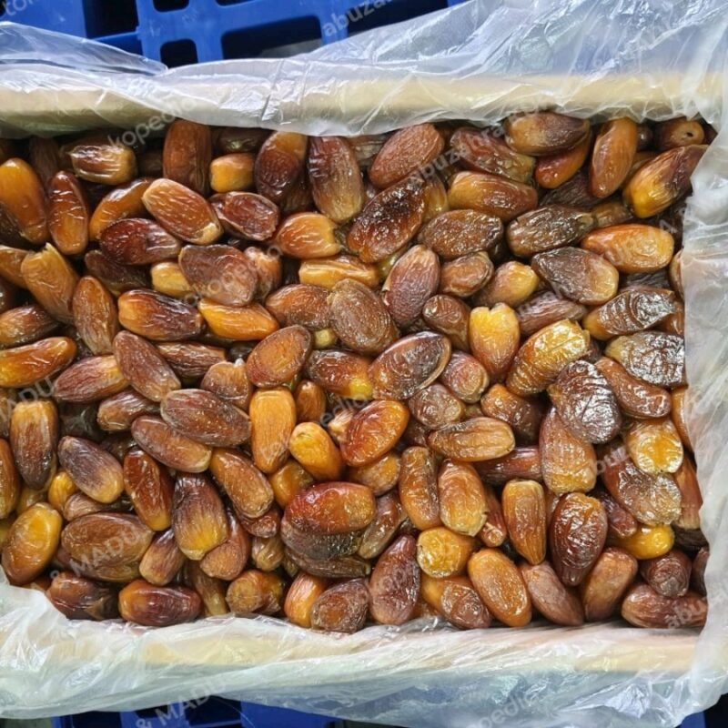 Kurma Madu Tunisia